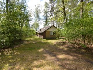 Detached holiday home with sauna, large garden - Stramproy - 5