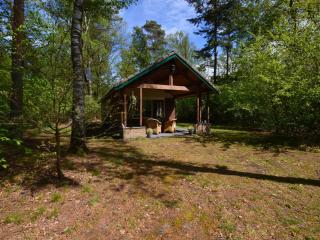 Detached holiday home with sauna, large garden - Stramproy - 6