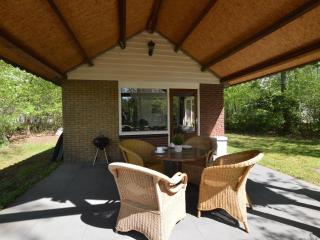 Detached holiday home with sauna, large garden - Stramproy - 8