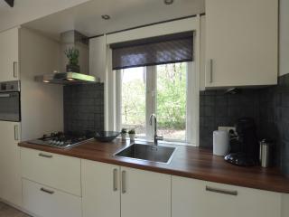 Detached holiday home with sauna, large garden - Stramproy - 3