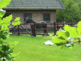 Holiday home for two people at a peaceful - Heiloo - 1