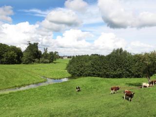 Farmhouse near River in Oosterwijk - Leerdam - 2