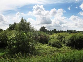 Farmhouse near River in Oosterwijk - Leerdam - 1