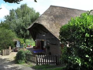Farmhouse near River in Oosterwijk - Leerdam - 5