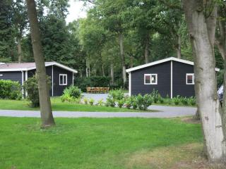 Nice house with a garden, surrounded by forest - De Bult - 8