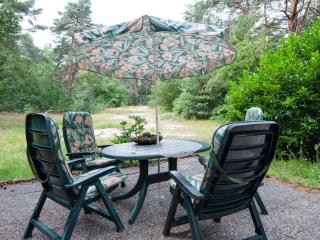 Holiday Home in Beerze near Forest - Beerze - 5