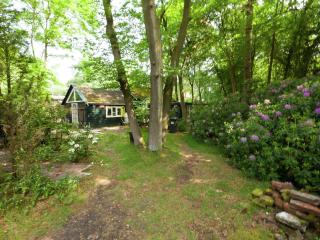 In the middle of the Gooise landscape - Huizen - 7