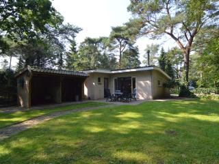 Comfortable holiday home with a garden - Zelhem - 5