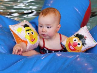 Chalet in Netherlands near Forest & Water - 2