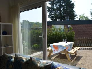 Holiday near beach on the Dutch coast - Noordwijkerhout - 3