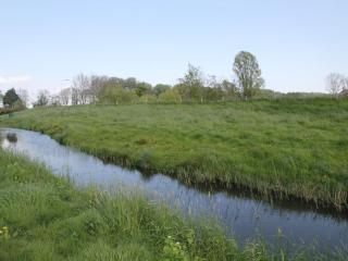 Comfortable bungalow near the beach - Warmenhuizen - 9