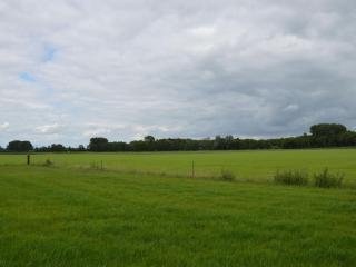 Holiday home in Holten near forest - Holten - 7