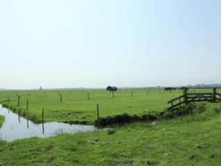 Holiday Home in Bergen near Forests - Bergen - 1