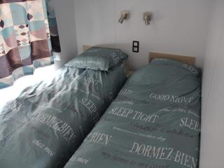 Chalet in Friesland near Nature Reserves - 2