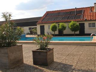 Holiday home in Oisterwijk with swimming pool - Oisterwijk - 3