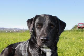 Cabin 2 at Lundar Farm - 9