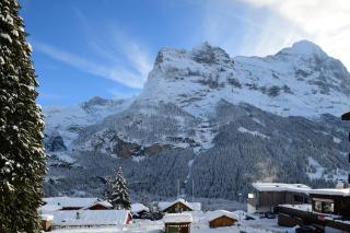 Hotel Grindelwalderhof - Grindelwald - 1