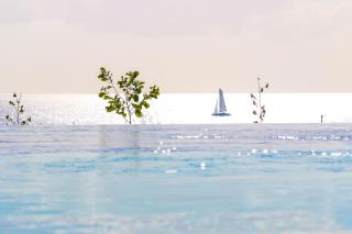 Villa 5* avec piscine et vue mer exceptionnelle - Fort-de-France - 1