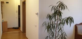 Observator Terrace Apartment - 8