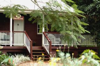 Lisson Grove - Mount Tamborine - 0