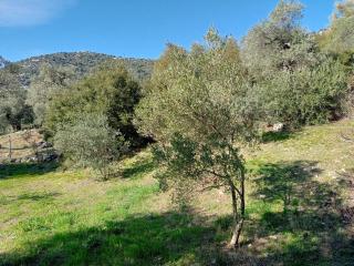 Villa Diana - 8