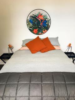 Addington Cottage - Christchurch - 6