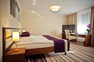 Hotel Mazovia Airport Modlin - Nowy Dwór Mazowiecki - 4