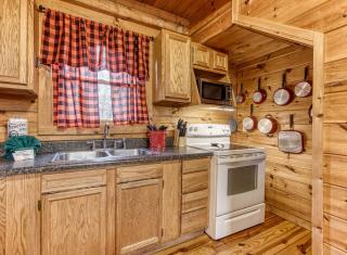 Bucky's Bungalow, Hot Tub, 1089 of FREE Attraction tickets for each paid day, Dollywood and More! - Gatlinburg - 9