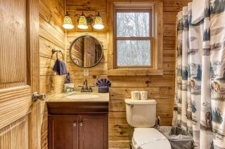 Bucky's Bungalow, Hot Tub, 1089 of FREE Attraction tickets for each paid day, Dollywood and More! - Gatlinburg - 3