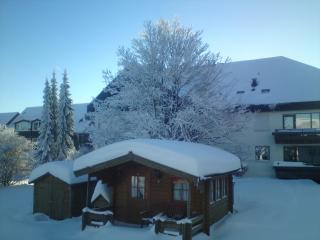 Haus Nicole - Winterberg - 3