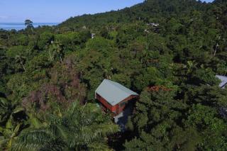 TreeTops By The Sea: Your Family Holiday Escape! - Mission Beach - 5