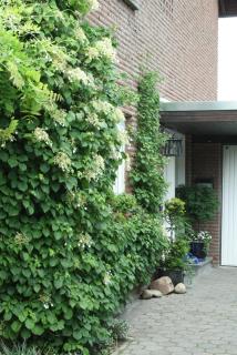Ferienwohnung Illerhues - Ascheberg - 5