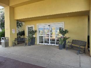 Baymont by Wyndham Pearsall - 2