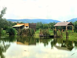 Honey Tiny Home - Vadu Crişului - 0