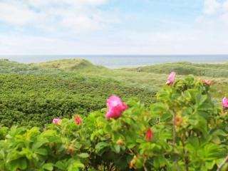 Panoramic Seaside Retreat - By Traum Ferienwohnungen - 6