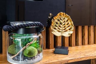 Apartament Playa Baltis 58 - Misdroy - 5