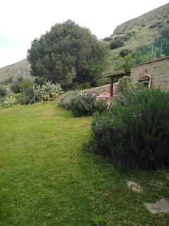 il corbezzolo - 0
