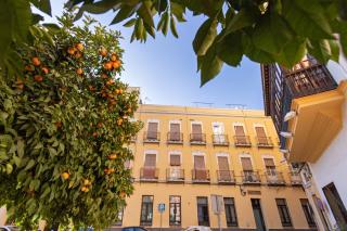 Nine O Clock San Agustin - Siviglia - 9