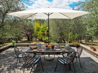 Holiday Home Il Boschetto by Interhome - 5