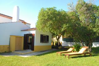JOIVY 3-BR Cottage with Terrace and Garden in Colares - Sintra - 5
