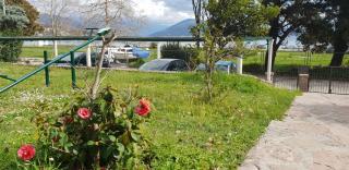 Apartmani Galiot - Igalo - 7