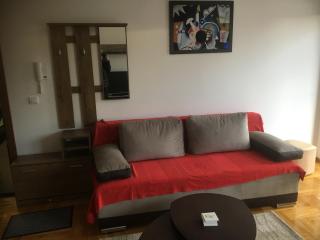 Apartman Andjelina Lux Zlatibor - Zlatibor - 0