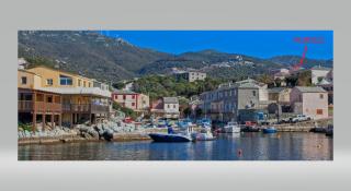 Porteo - Les Terrasses du Port - Centuri - 9