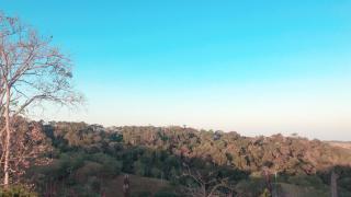 Finca Hotel Doradal - Doradal - 1