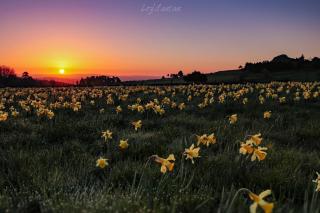 La coopé de maurines - 3