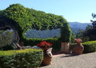 Villa Di Collina - Vicchio - 8