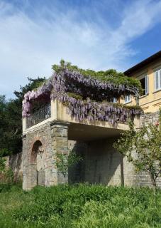 Villa Di Collina - Vicchio - 4