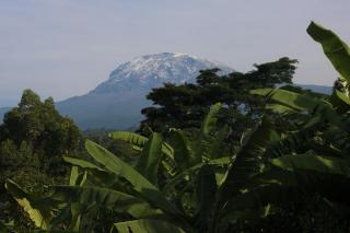 Shimbwe Meadows Home - Moshi - 6