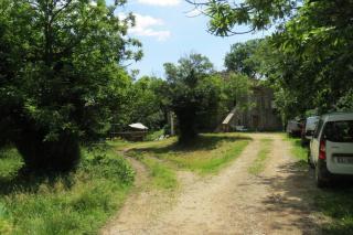 Les châtaigniers du Thaurac - 6