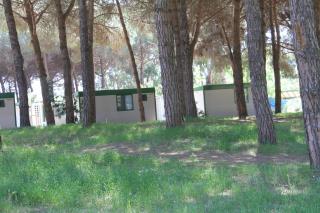 Giannella Camping - 8